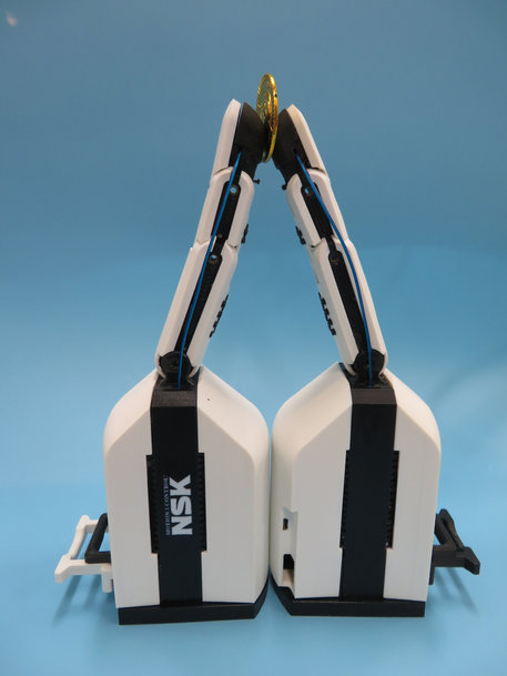 Développement conjoint de NSK d’une main robotique personnalisable